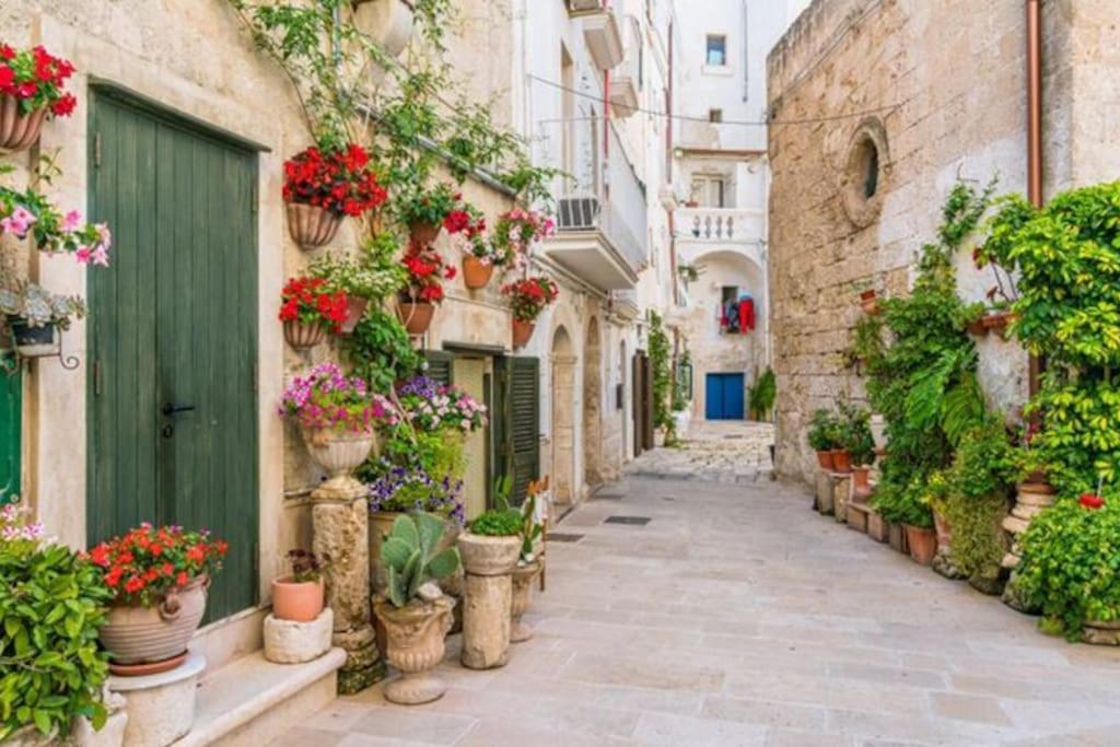 Il Mare In Citta. Appartamento Vista Mare Monopoli Dış mekan fotoğraf